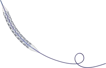 冠脉雷帕霉素靶向洗脱钴基合金支架系统