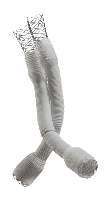 腹主动脉覆膜支架系统