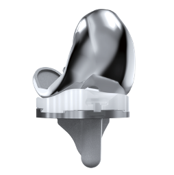 国产内轴型全膝关节假体