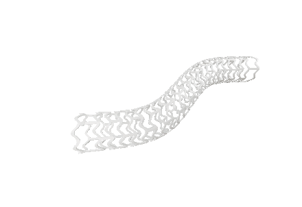 生物可吸收雷帕霉素洗脱冠脉支架系统